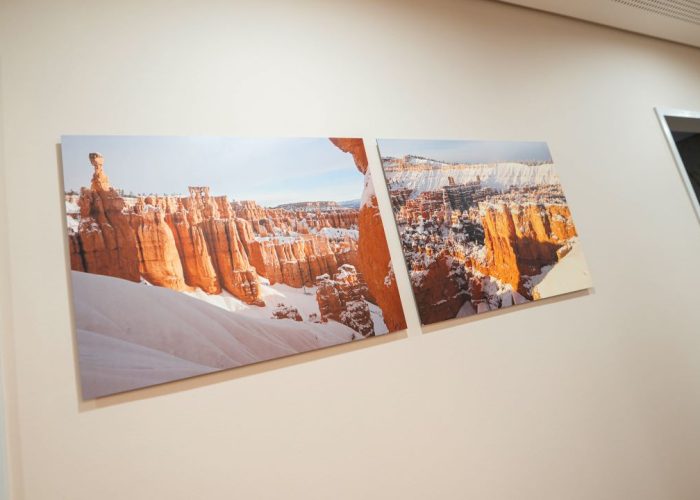 urologie_altstadtquartier_19